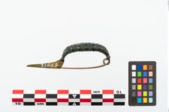 Foto von Bronzekahnfibel (NHMW-PRAE-023653)